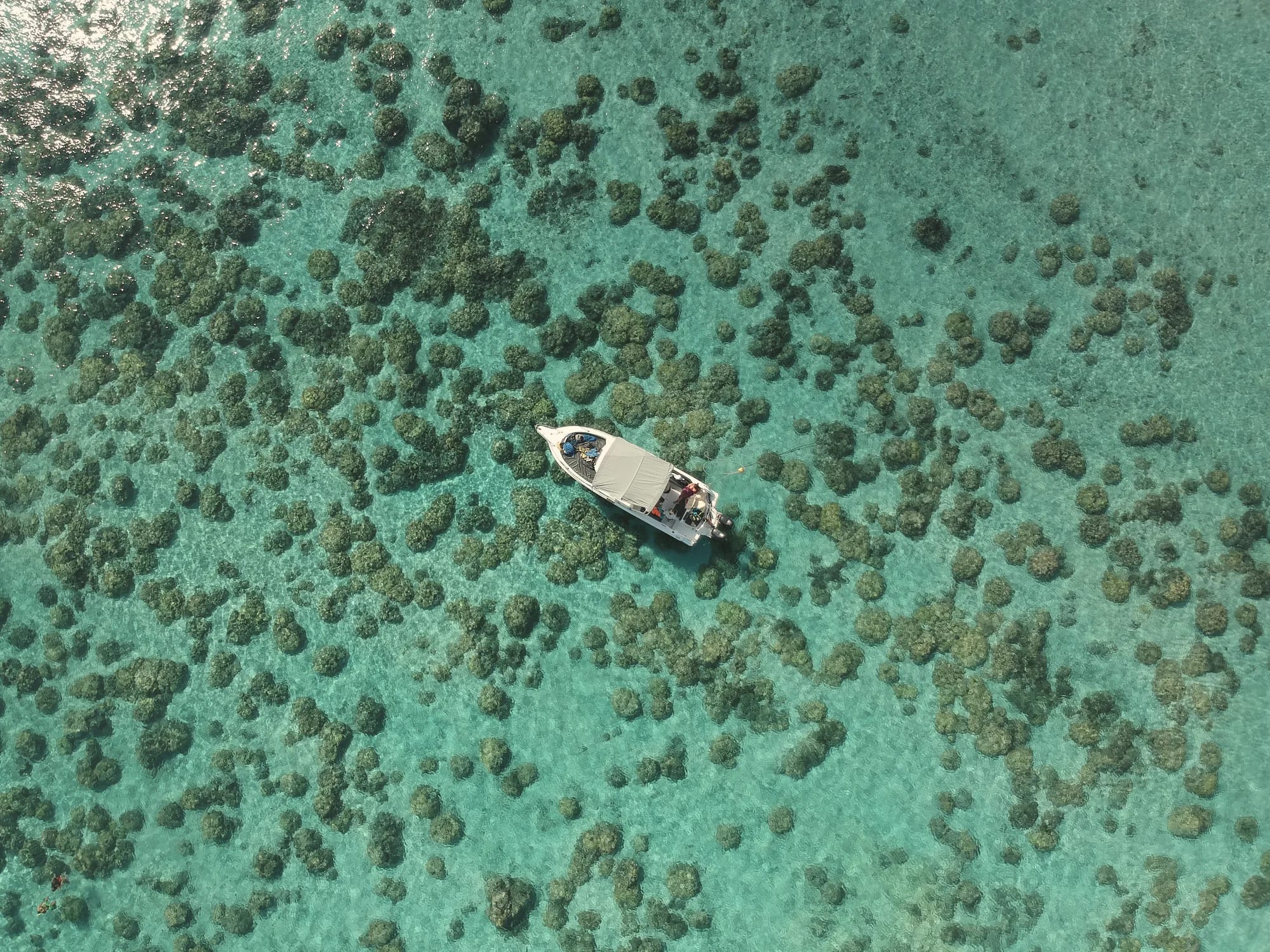 Boat over coral reef in clear lagoon water, Mauritius