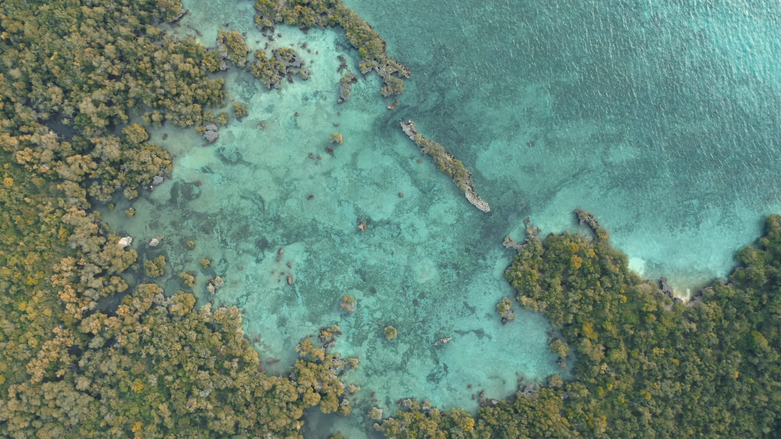 Turquoise lagoon and coastline, Mauritius